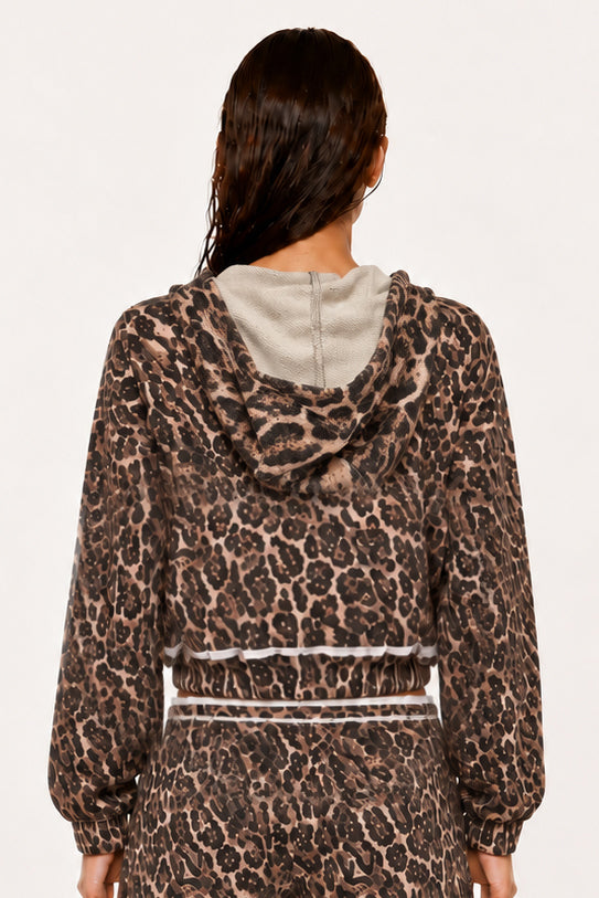 BROWN LEOPARD